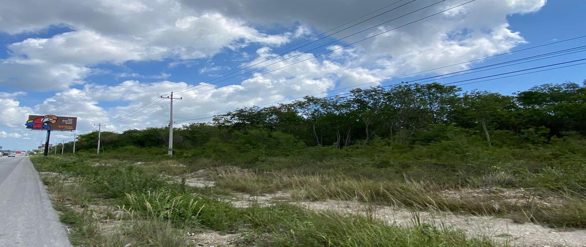 Foto de terreno habitacional en , puerto morelos, benito juárez, quintana roo, 30309711 foto 02 Foto de terreno habitacional en venta en , puerto morelos, benito juárez, quintana roo, 30309711 No. 02