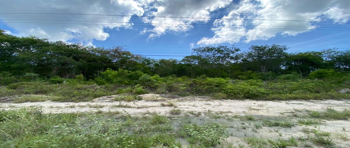 Foto de terreno habitacional en , puerto morelos, benito juárez, quintana roo, 30309711 foto 04 Foto de terreno habitacional en venta en , puerto morelos, benito juárez, quintana roo, 30309711 No. 04