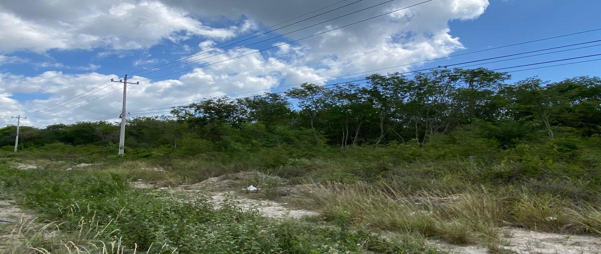 Foto de terreno habitacional en , puerto morelos, benito juárez, quintana roo, 30309711 foto 05 Foto de terreno habitacional en venta en , puerto morelos, benito juárez, quintana roo, 30309711 No. 05