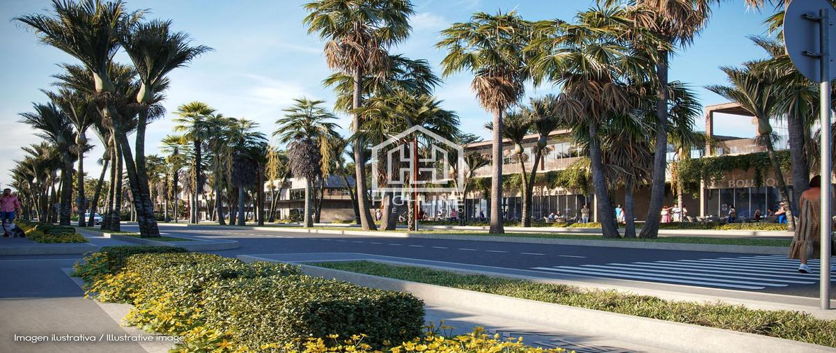 Foto de terreno habitacional en venta en  , puerto morelos, benito juárez, quintana roo, 30353653 No. 05