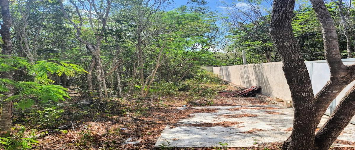 Foto de terreno habitacional en , puerto morelos, benito juárez, quintana roo, 0 foto 03 Foto de terreno habitacional en venta en , puerto morelos, benito juárez, quintana roo, 0 No. 03