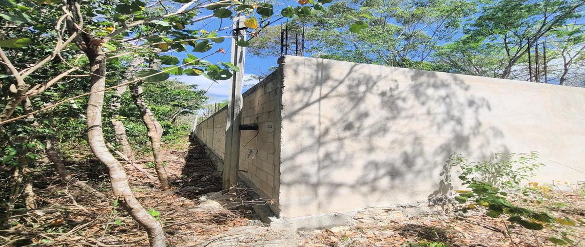 Foto de terreno habitacional en , puerto morelos, benito juárez, quintana roo, 0 foto 04 Foto de terreno habitacional en venta en , puerto morelos, benito juárez, quintana roo, 0 No. 04