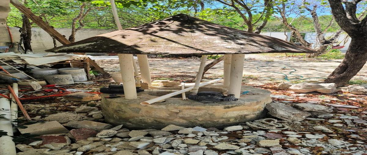 Foto de terreno habitacional en , puerto morelos, benito juárez, quintana roo, 0 foto 05 Foto de terreno habitacional en venta en , puerto morelos, benito juárez, quintana roo, 0 No. 05