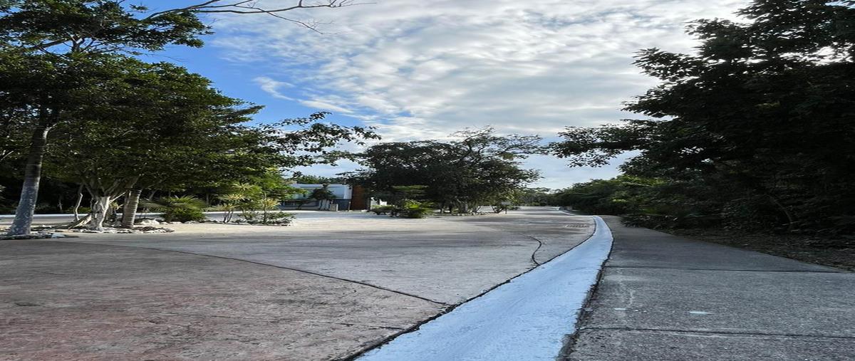 Foto de terreno habitacional en venta en  , puerto morelos, benito juárez, quintana roo, 0 No. 04