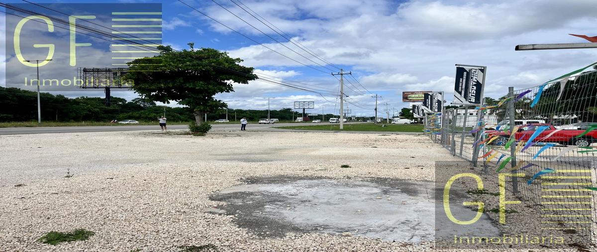 Foto de terreno habitacional en , puerto morelos, benito juárez, quintana roo, 30592671 foto 04 Foto de terreno habitacional en renta en , puerto morelos, benito juárez, quintana roo, 30592671 No. 04