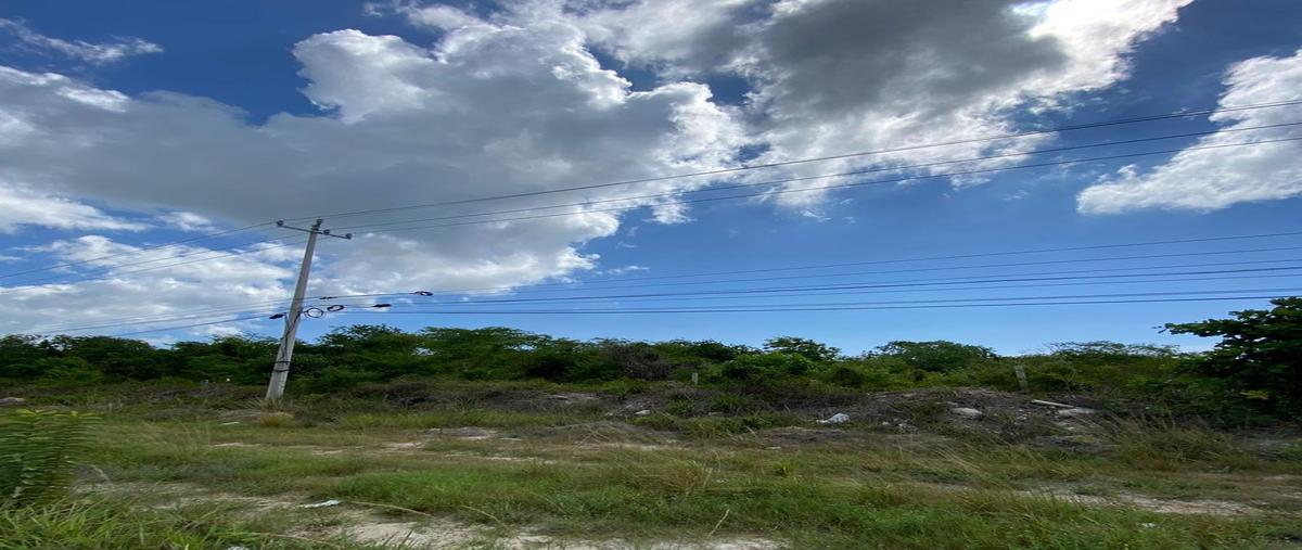 Foto de terreno habitacional en , puerto morelos, benito juárez, quintana roo, 0 foto 02 Foto de terreno habitacional en venta en , puerto morelos, benito juárez, quintana roo, 0 No. 02