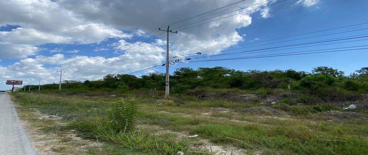 Foto de terreno habitacional en , puerto morelos, benito juárez, quintana roo, 0 foto 03 Foto de terreno habitacional en venta en , puerto morelos, benito juárez, quintana roo, 0 No. 03