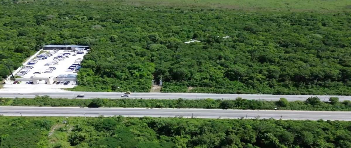 Foto de terreno habitacional en , puerto morelos, benito juárez, quintana roo, 0 foto 01 Foto de terreno habitacional en venta en , puerto morelos, benito juárez, quintana roo, 0 No. 01