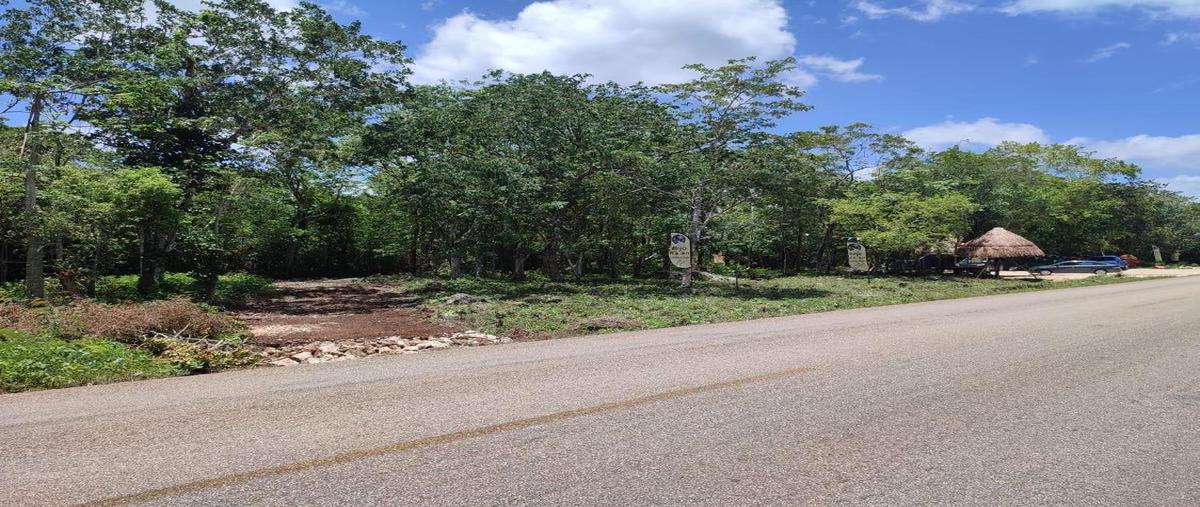 Foto de terreno habitacional en venta en  , puerto morelos, benito juárez, quintana roo, 0 No. 03