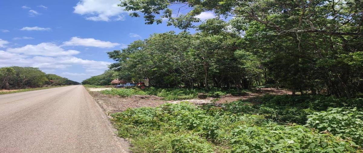 Foto de terreno habitacional en venta en  , puerto morelos, benito juárez, quintana roo, 0 No. 04