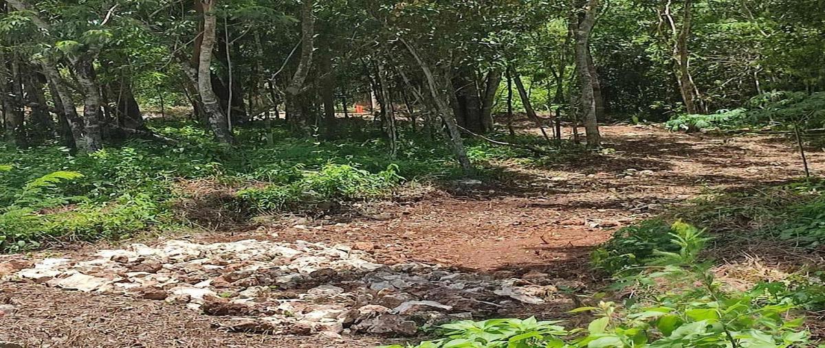 Foto de terreno habitacional en venta en  , puerto morelos, benito juárez, quintana roo, 0 No. 05