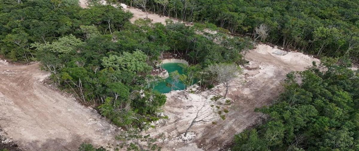 Foto de terreno habitacional en , puerto morelos, benito juárez, quintana roo, 0 foto 02 Foto de terreno habitacional en venta en , puerto morelos, benito juárez, quintana roo, 0 No. 02