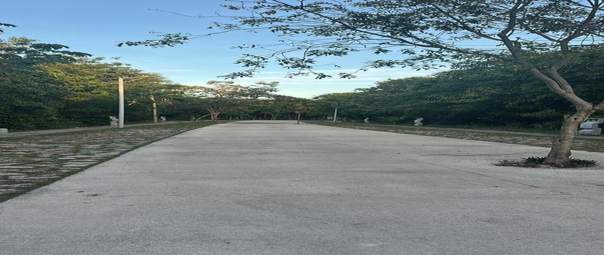 Foto de terreno habitacional en venta en  , puerto morelos, benito juárez, quintana roo, 0 No. 04