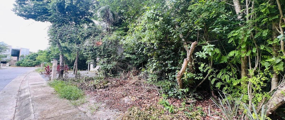 Foto de terreno habitacional en venta en  , puerto morelos, benito juárez, quintana roo, 0 No. 05