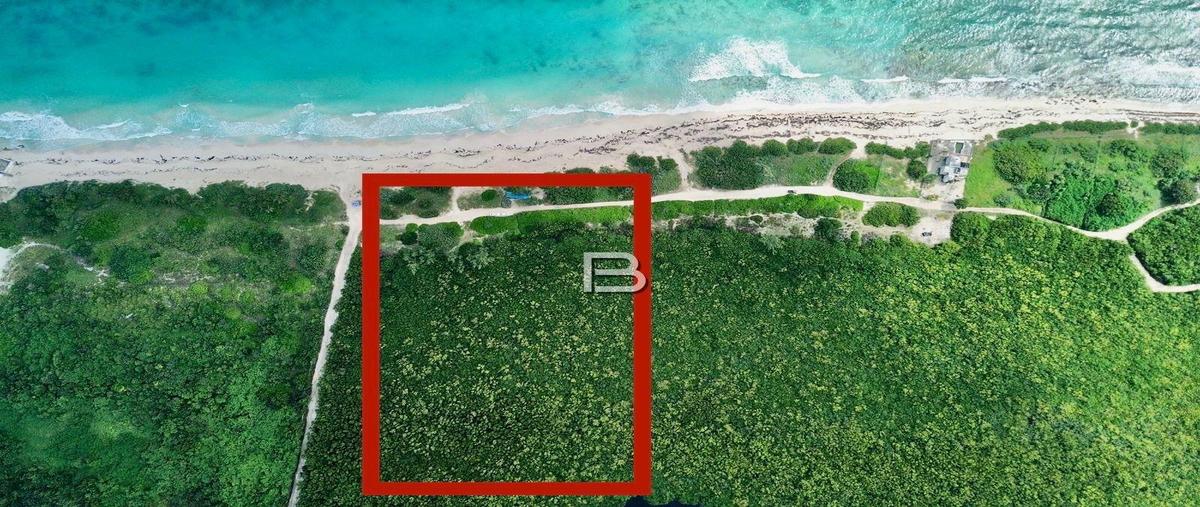 Foto de terreno habitacional en , puerto morelos, benito juárez, quintana roo, 30954247 foto 01 Foto de terreno habitacional en venta en , puerto morelos, benito juárez, quintana roo, 30954247 No. 01