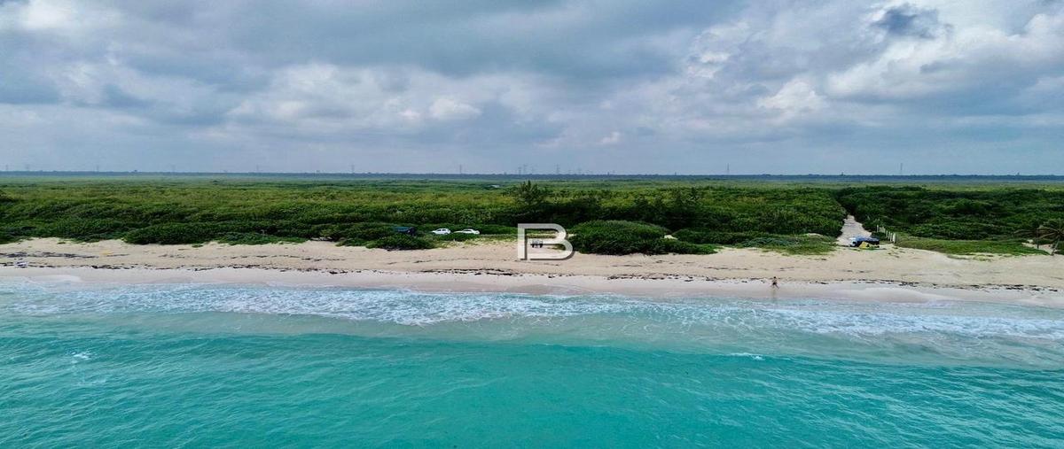Foto de terreno habitacional en , puerto morelos, benito juárez, quintana roo, 30954247 foto 05 Foto de terreno habitacional en venta en , puerto morelos, benito juárez, quintana roo, 30954247 No. 05