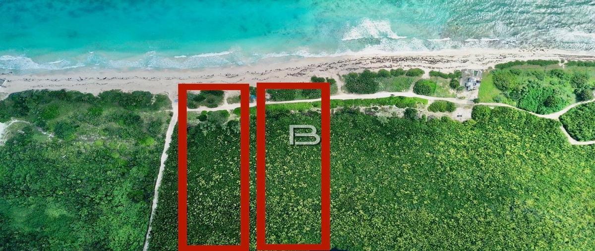 Foto de terreno habitacional en , puerto morelos, benito juárez, quintana roo, 0 foto 01 Foto de terreno habitacional en venta en , puerto morelos, benito juárez, quintana roo, 0 No. 01