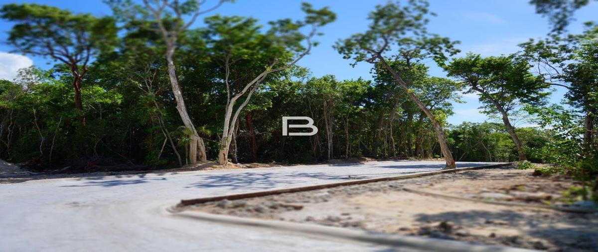 Foto de terreno habitacional en venta en  , puerto morelos, benito juárez, quintana roo, 0 No. 03