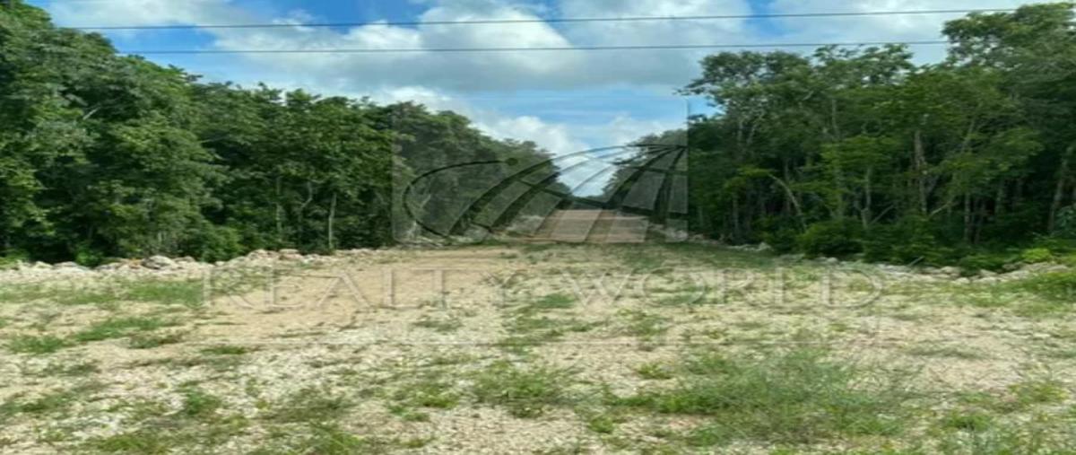 Foto de terreno habitacional en , puerto morelos, benito juárez, quintana roo, 31026528 foto 02 Foto de terreno habitacional en venta en , puerto morelos, benito juárez, quintana roo, 31026528 No. 02
