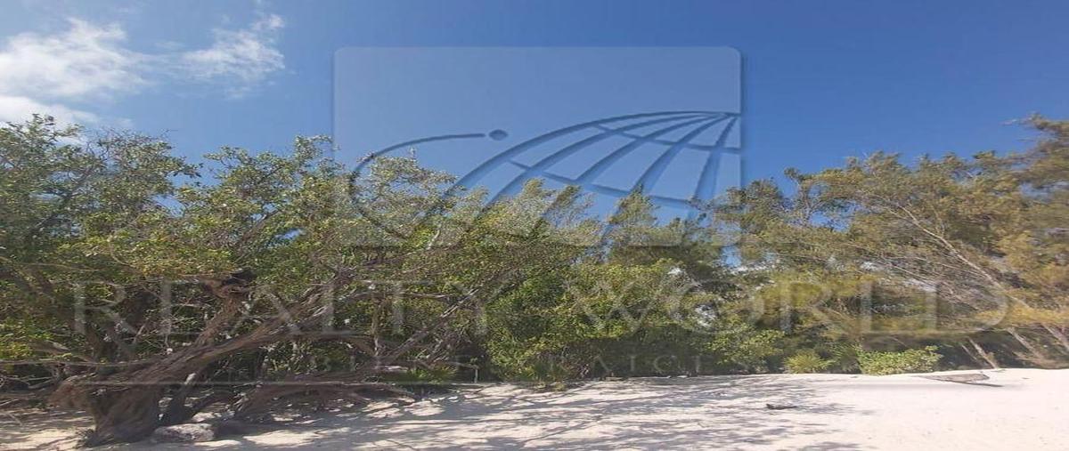 Foto de terreno habitacional en venta en  , puerto morelos, benito juárez, quintana roo, 31026529 No. 03