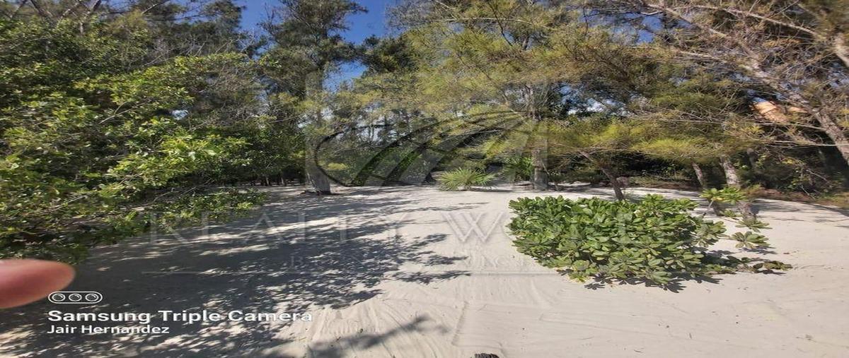 Foto de terreno habitacional en venta en  , puerto morelos, benito juárez, quintana roo, 31026529 No. 04