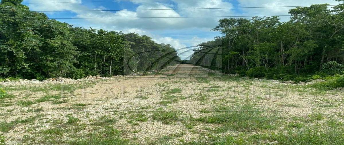 Foto de terreno habitacional en , puerto morelos, benito juárez, quintana roo, 31026532 foto 01 Foto de terreno habitacional en venta en , puerto morelos, benito juárez, quintana roo, 31026532 No. 01