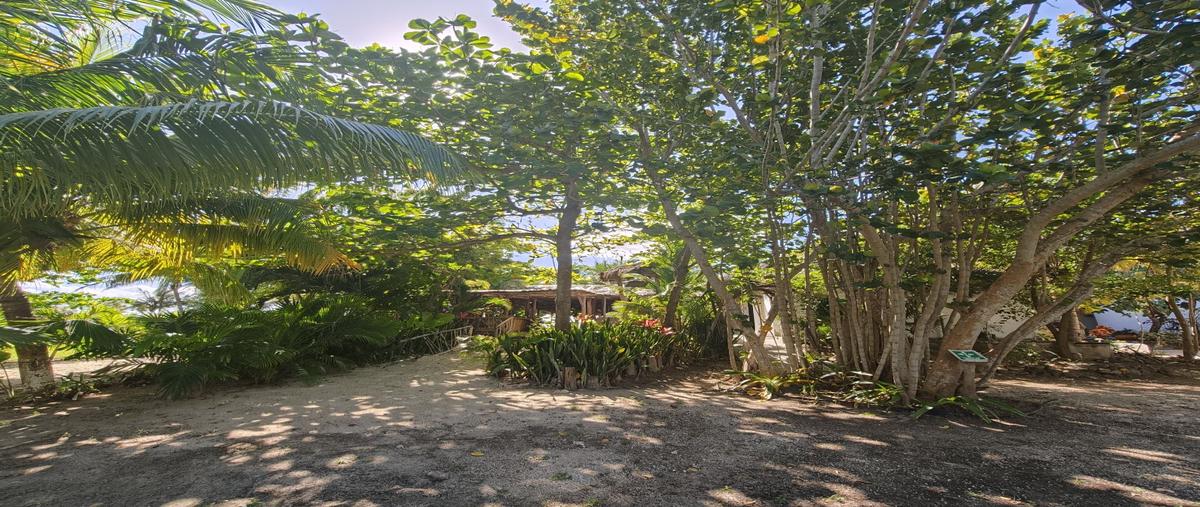 Foto de terreno habitacional en venta en  , puerto morelos, benito juárez, quintana roo, 0 No. 03