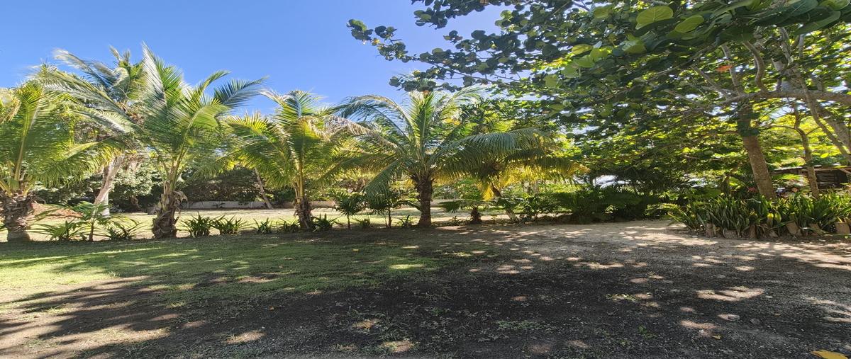 Foto de terreno habitacional en venta en  , puerto morelos, benito juárez, quintana roo, 0 No. 04