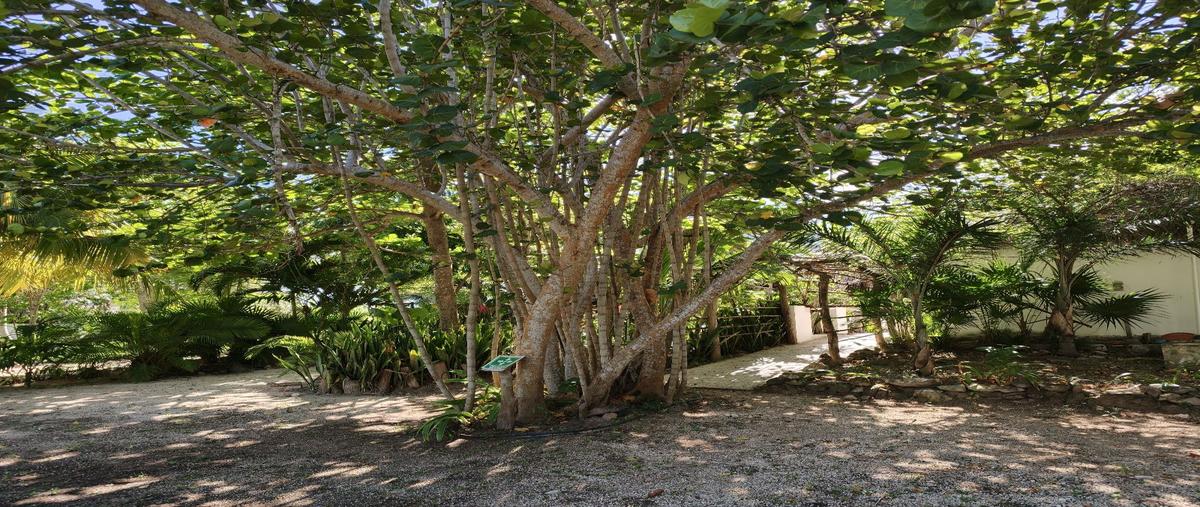 Foto de terreno habitacional en venta en  , puerto morelos, benito juárez, quintana roo, 0 No. 05