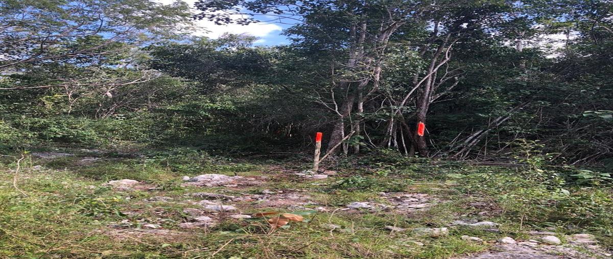 Foto de terreno habitacional en venta en  , puerto morelos, benito juárez, quintana roo, 0 No. 03