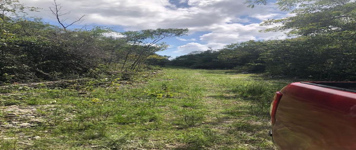 Foto de terreno habitacional en venta en  , puerto morelos, benito juárez, quintana roo, 0 No. 04