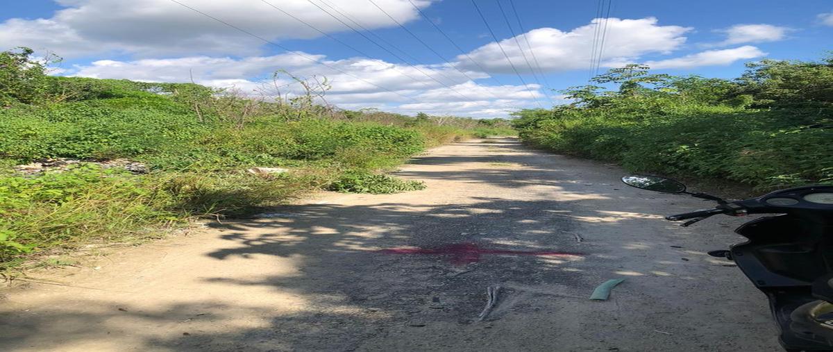Foto de terreno habitacional en venta en  , puerto morelos, benito juárez, quintana roo, 0 No. 05
