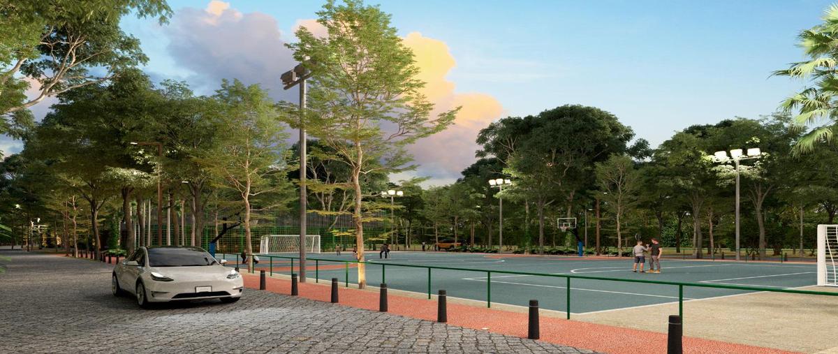 Foto de terreno habitacional en venta en  , puerto morelos, benito juárez, quintana roo, 31338233 No. 04