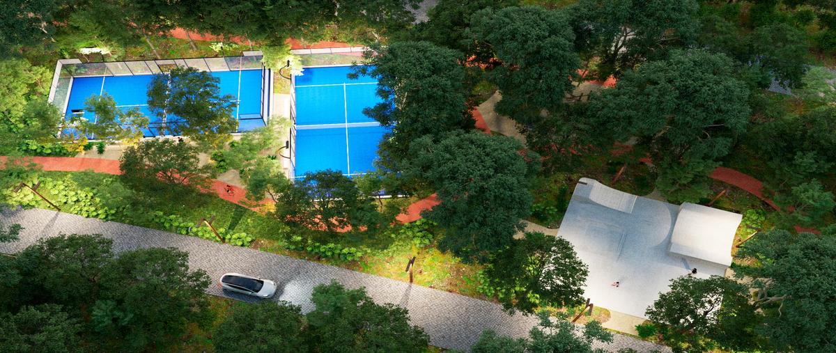 Foto de terreno habitacional en venta en  , puerto morelos, benito juárez, quintana roo, 31338233 No. 05