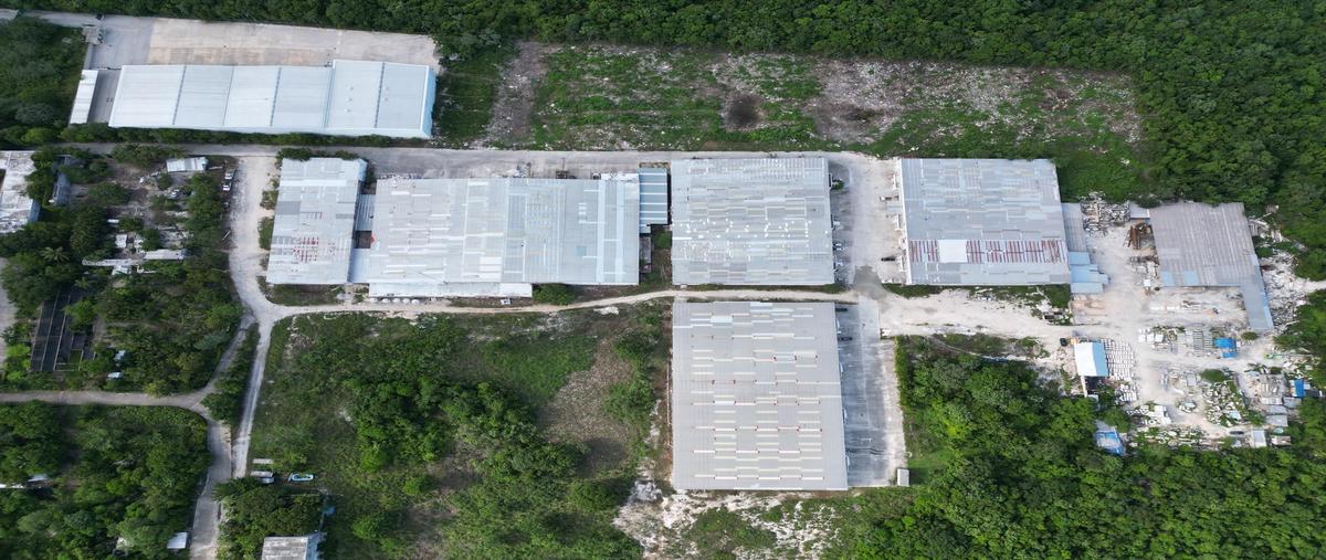 Foto de bodega en , puerto morelos, benito juárez, quintana roo, 0 foto 04 Foto de bodega en renta en , puerto morelos, benito juárez, quintana roo, 0 No. 04