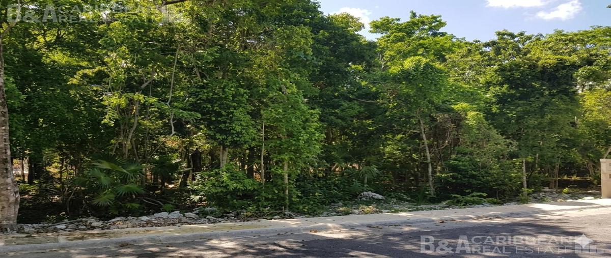 Foto de terreno habitacional en venta en  , puerto morelos, benito juárez, quintana roo, 0 No. 05