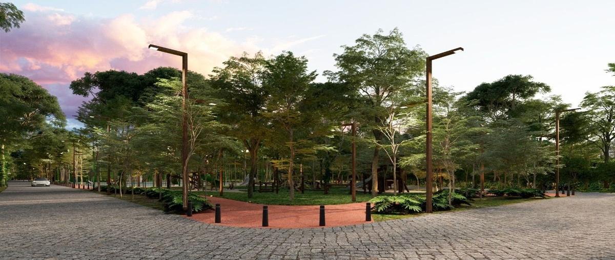 Foto de terreno habitacional en puerto morelos , puerto morelos, puerto morelos, quintana roo, 0 foto 04 Foto de terreno habitacional en venta en puerto morelos , puerto morelos, puerto morelos, quintana roo, 0 No. 04