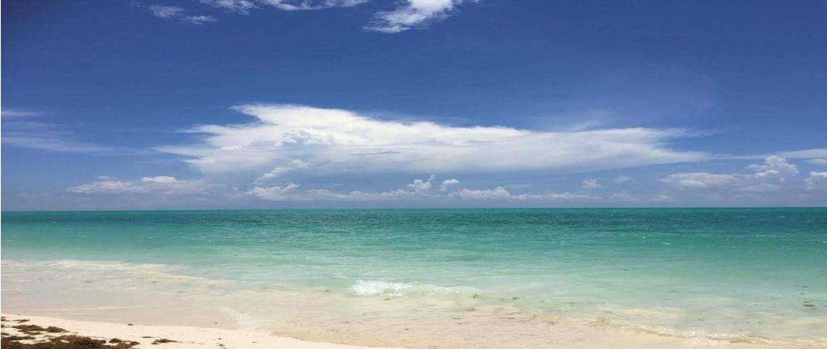 Foto de terreno habitacional en venta en  , puerto morelos, puerto morelos, quintana roo, 18087689 No. 03