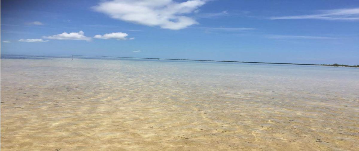 Foto de terreno habitacional en venta en  , puerto morelos, puerto morelos, quintana roo, 18087689 No. 04