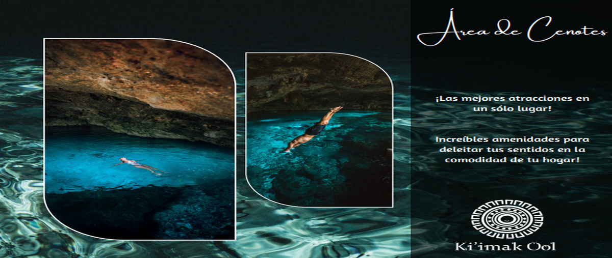 Foto de terreno habitacional en venta en  , puerto morelos, puerto morelos, quintana roo, 24345397 No. 05