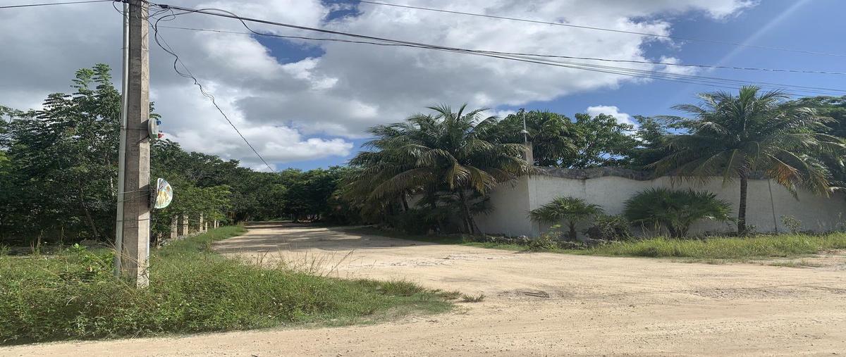 Foto de terreno habitacional en venta en  , puerto morelos, puerto morelos, quintana roo, 25953565 No. 03