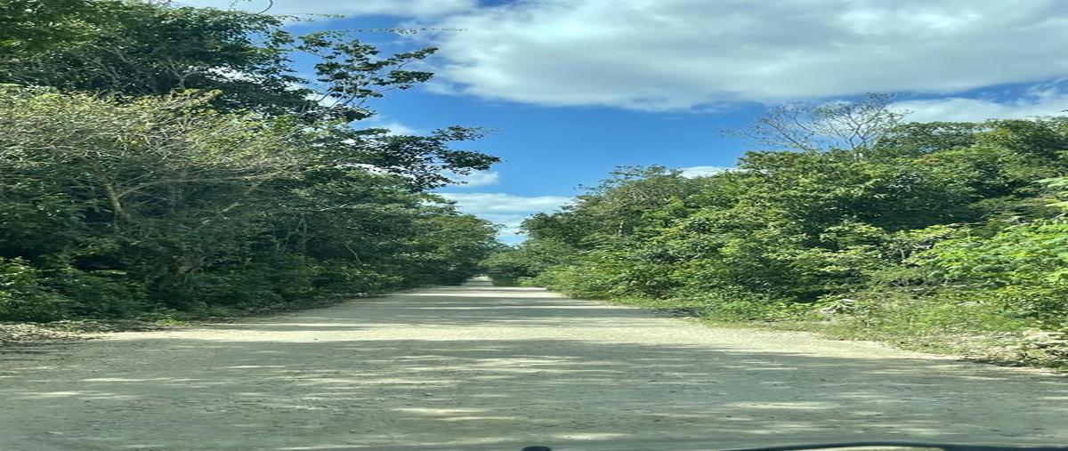 Foto de terreno habitacional en venta en  , puerto morelos, puerto morelos, quintana roo, 26116354 No. 03