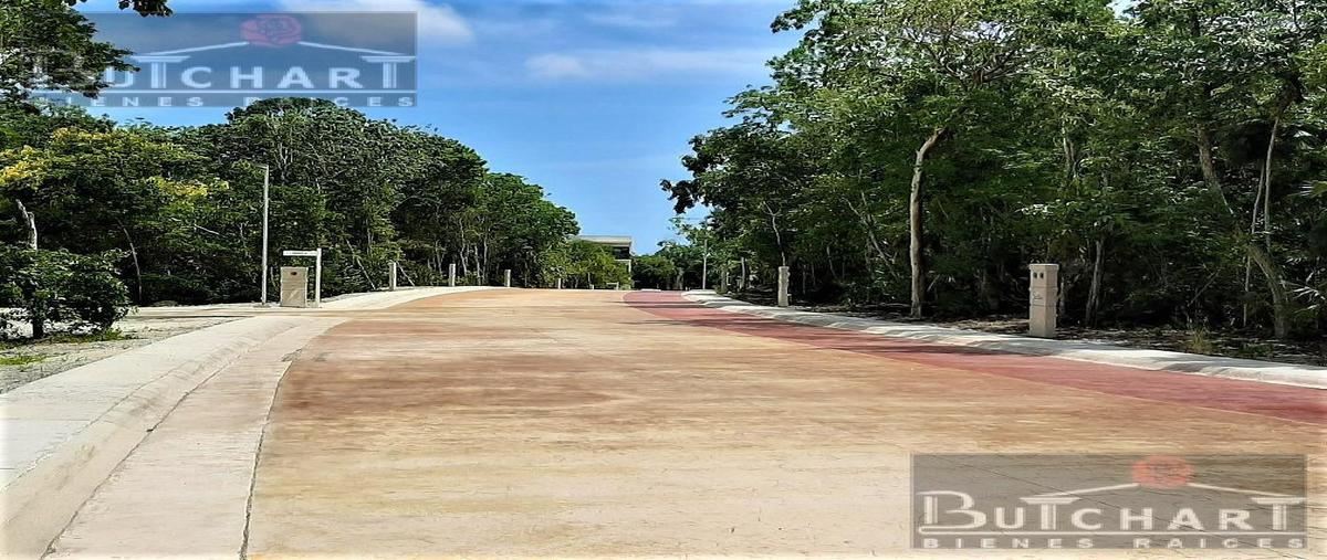 Foto de terreno habitacional en venta en  , puerto morelos, puerto morelos, quintana roo, 26209655 No. 03