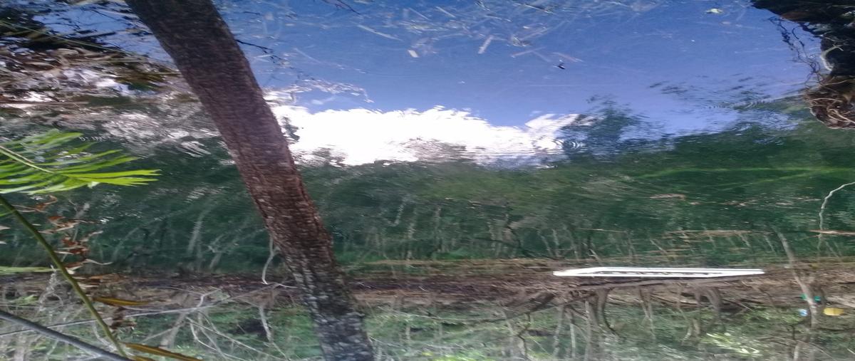 Foto de terreno habitacional en , puerto morelos, puerto morelos, quintana roo, 27773191 foto 02 Foto de terreno habitacional en venta en , puerto morelos, puerto morelos, quintana roo, 27773191 No. 02