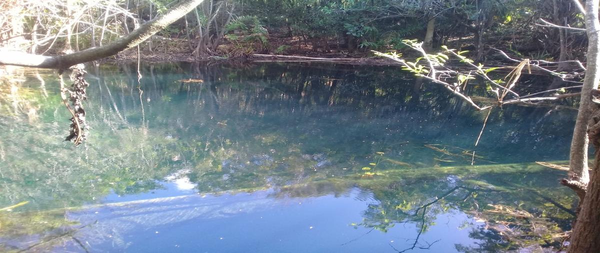 Foto de terreno habitacional en , puerto morelos, puerto morelos, quintana roo, 27773191 foto 03 Foto de terreno habitacional en venta en , puerto morelos, puerto morelos, quintana roo, 27773191 No. 03