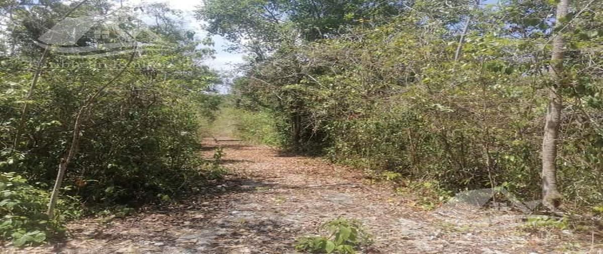 Foto de terreno habitacional en venta en  , puerto morelos, puerto morelos, quintana roo, 0 No. 03