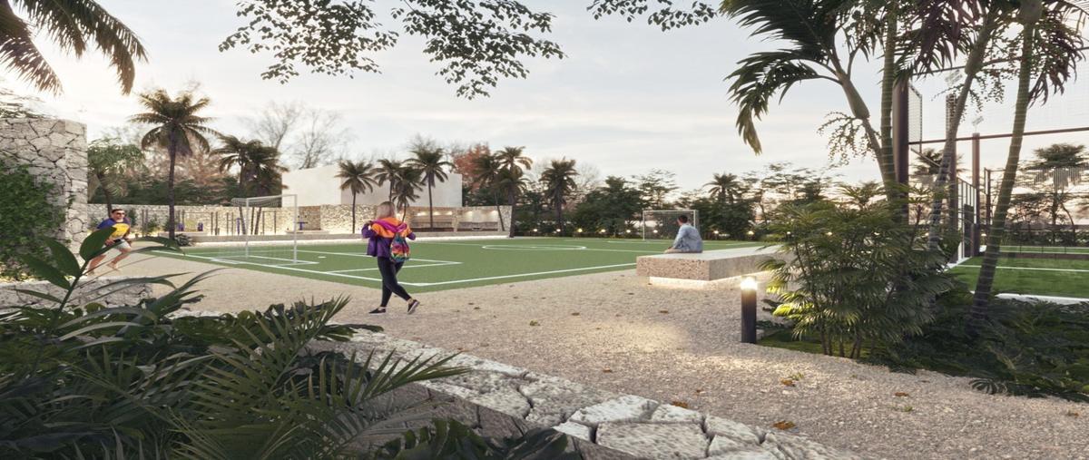 Foto de terreno habitacional en venta en  , puerto morelos, puerto morelos, quintana roo, 28121205 No. 05
