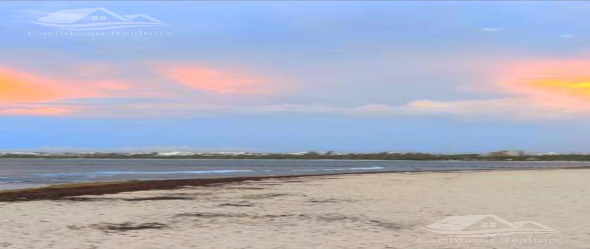 Foto de terreno habitacional en venta en  , puerto morelos, puerto morelos, quintana roo, 28459412 No. 05