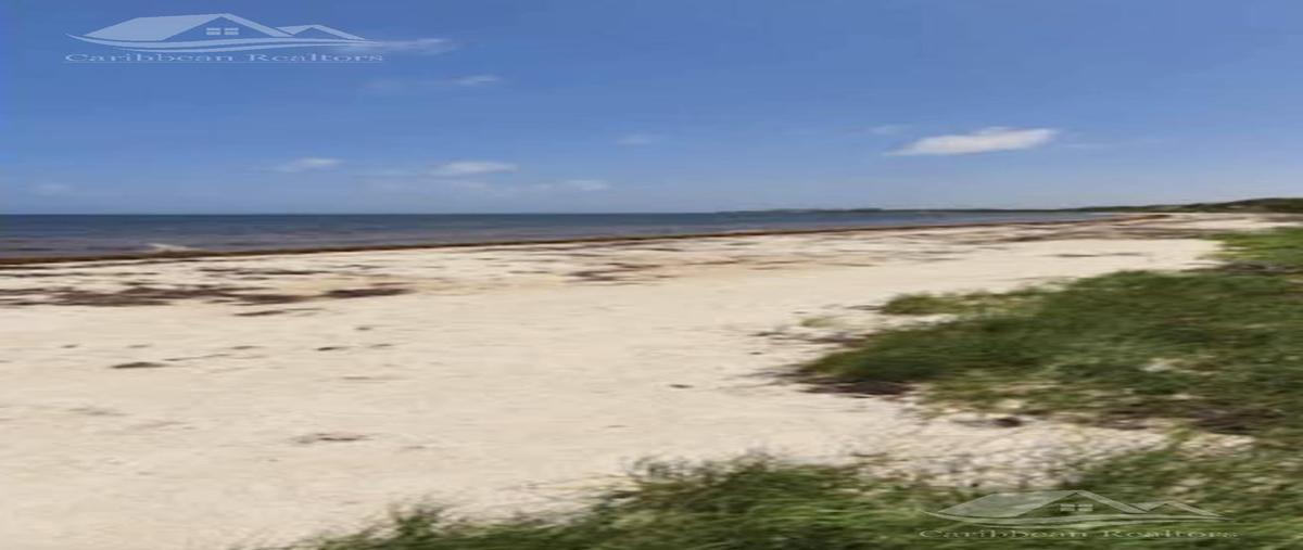 Foto de terreno habitacional en venta en  , puerto morelos, puerto morelos, quintana roo, 28459413 No. 03