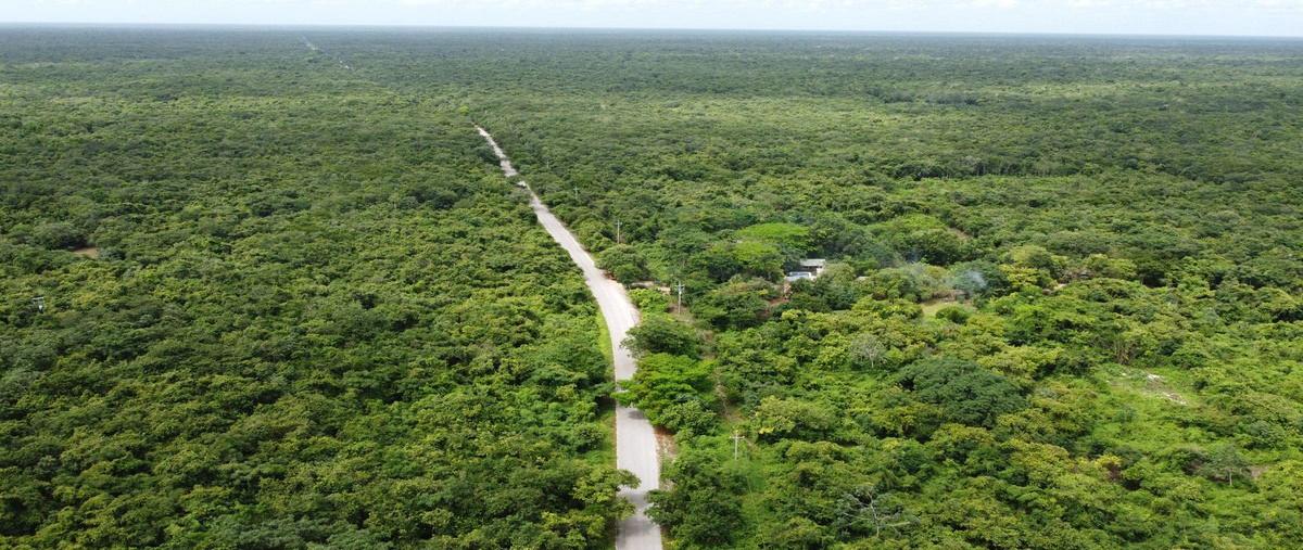 Foto de terreno habitacional en , puerto morelos, puerto morelos, quintana roo, 28753375 foto 04 Foto de terreno habitacional en venta en , puerto morelos, puerto morelos, quintana roo, 28753375 No. 04